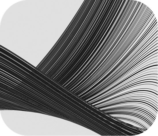 PLATFORM CAPABILITIES